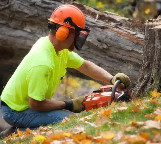 tree services Lake Arthur